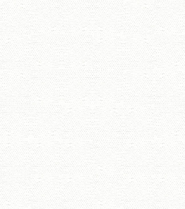Sample of Top Notch TN568 White 60-Inch Marine Topping and Enclosure Fabric