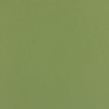 Sample of Weblon Coastline Plus Sea Palm CP-2702 Awning Fabric