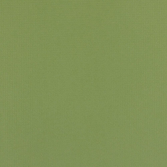 Sample of Weblon Coastline Plus Sea Palm CP-2702 Awning Fabric
