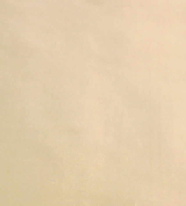 Scalamandre Dynasty Taffeta Cream SC 000336383 Essential Silks Collection Multipurpose Fabric