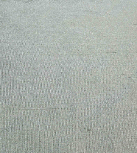 Scalamandre Dynasty Taffeta Glacier SC 001836383 Essential Silks Collection Multipurpose Fabric