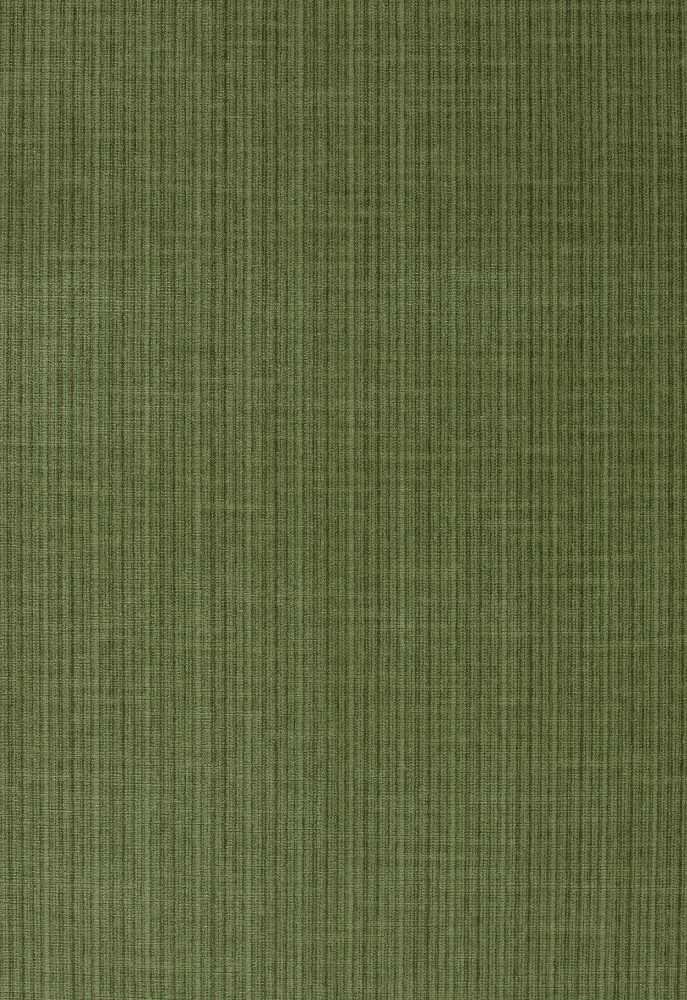 Schumacher Antique Strie Velvet Grass 43282 Chroma Collection Indoor Upholstery Fabric