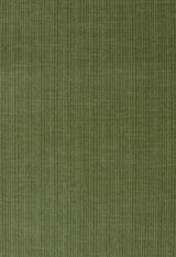 Schumacher Antique Strie Velvet Grass 43282 Chroma Collection Indoor Upholstery Fabric