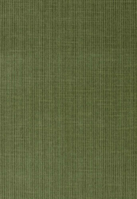 Schumacher Antique Strie Velvet Grass 43282 Chroma Collection Indoor Upholstery Fabric