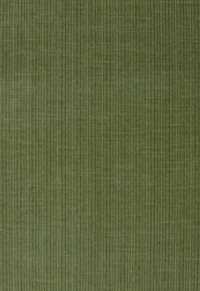 Schumacher Antique Strie Velvet Grass 43282 Chroma Collection Indoor Upholstery Fabric