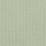 Schumacher Antique Strie Velvet Lichen 69764 Perfect Basics: Antique Strie Velvet Collection Indoor Upholstery Fabric
