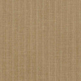 Schumacher Antique Strie Velvet Reed 69761 Perfect Basics: Antique Strie Velvet Collection Indoor Upholstery Fabric