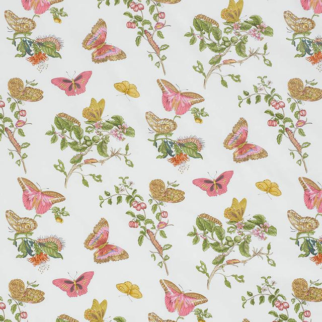 Schumacher Baudin Butterfly Chintz Blush 178720 Schumacher Classics Collection Indoor Upholstery Fabric