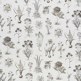 Schumacher Cabot Botanical Ivory 178751 Schumacher Classics Collection Indoor Upholstery Fabric