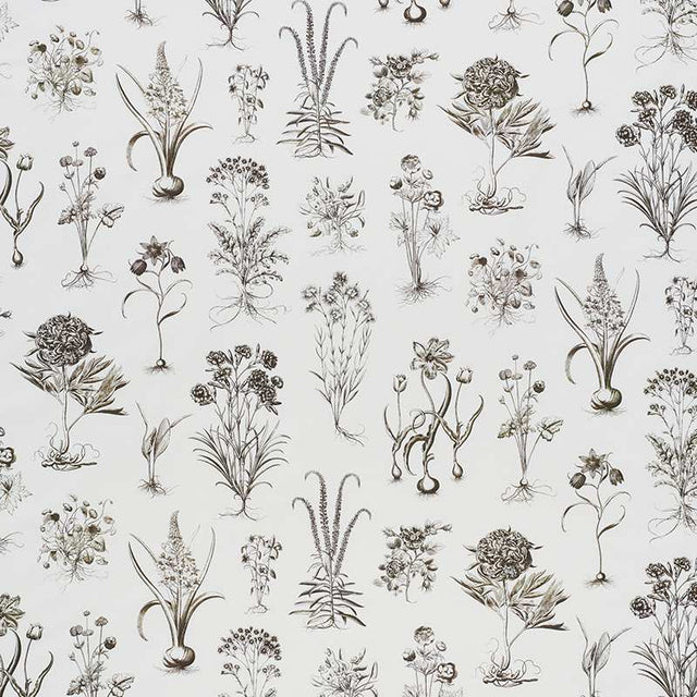 Schumacher Cabot Botanical Ivory 178751 Schumacher Classics Collection Indoor Upholstery Fabric