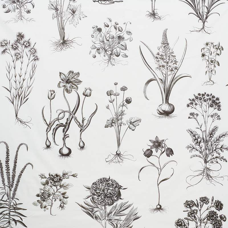 Schumacher Cabot Botanical Large Ivory 178740 Schumacher Classics Collection Indoor Upholstery Fabric