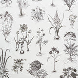 Schumacher Cabot Botanical Large Ivory 178740 Schumacher Classics Collection Indoor Upholstery Fabric