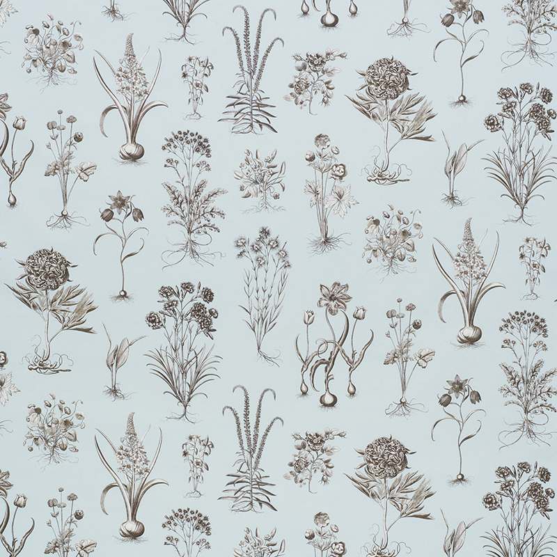 Schumacher Cabot Botanical Sky 178750 Schumacher Classics Collection Indoor Upholstery Fabric