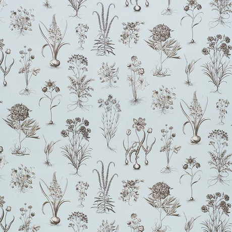 Schumacher Cabot Botanical Sky 178750 Schumacher Classics Collection Indoor Upholstery Fabric