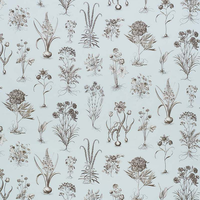 Schumacher Cabot Botanical Sky 178750 Schumacher Classics Collection Indoor Upholstery Fabric