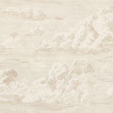 Schumacher Cloud Toile Champagne 177000 Schumacher Classics Collection Indoor Upholstery Fabric