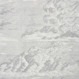 Schumacher Cloud Toile Fog 177002 Schumacher Classics Collection Indoor Upholstery Fabric