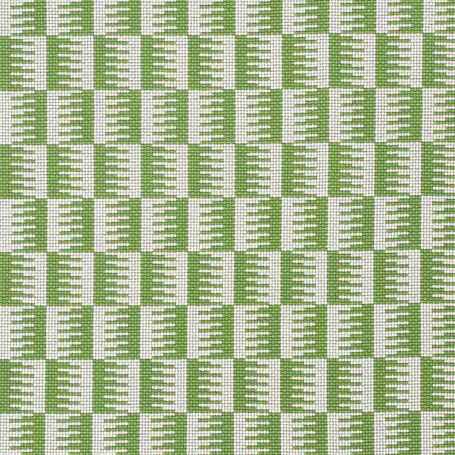 Schumacher Dovetail Green 73321 Indoor / Outdoor Prints and Wovens Collection Upholstery Fabric