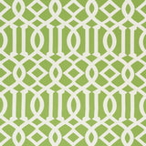 Schumacher Imperial Trellis Leaf 73160 Indoor / Outdoor Prints and Wovens Collection Upholstery Fabric