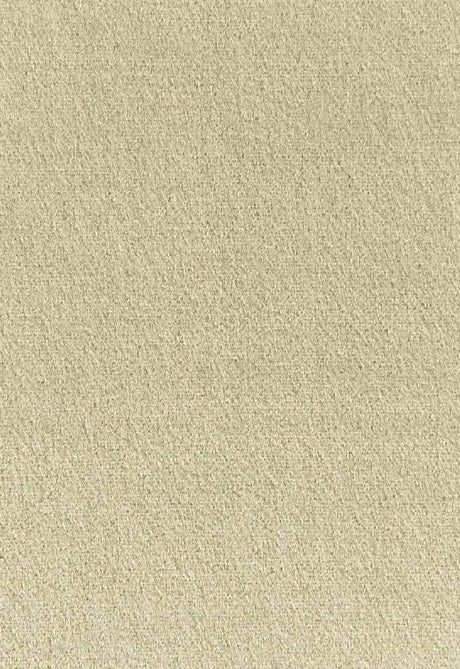 Schumacher Palermo Eau De Nil 64932 Mohair Velvet Collection Indoor Upholstery Fabric