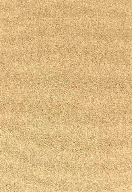 Schumacher Palermo Sesame 64940 Mohair Velvet Collection Indoor Upholstery Fabric