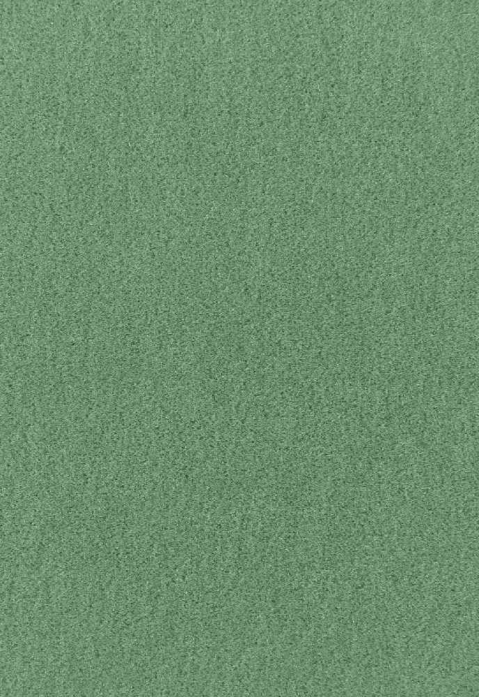 Schumacher Palermo Vert 64933 Mohair Velvet Collection Indoor Upholstery Fabric