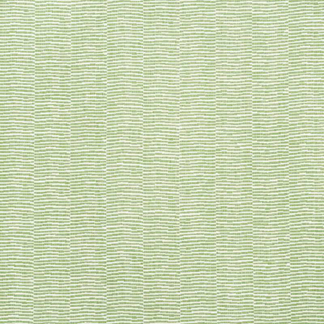 Schumacher Promenade Lea73131 Indoor / Outdoor Prints and Wovens Collection Upholstery Fabric