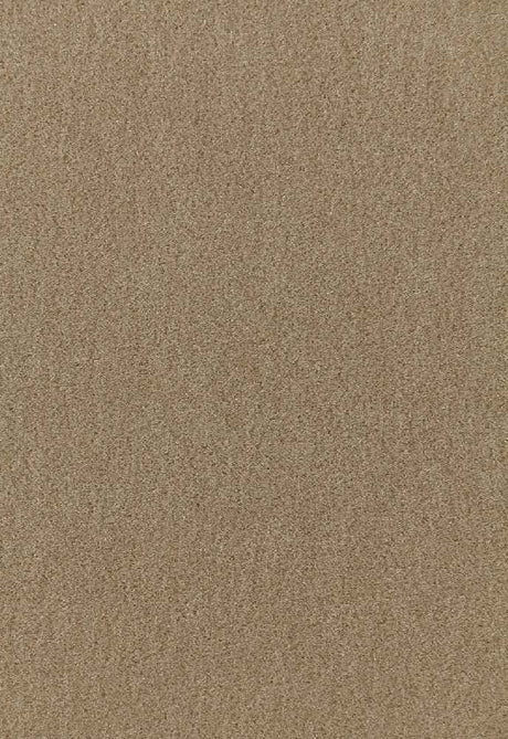 Schumacher San Carlo Sage 64887 Mohair Velvet Collection Indoor Upholstery Fabric