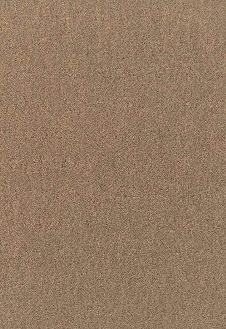 Schumacher San Carlo Sparrow 64885 Mohair Velvet Collection Indoor Upholstery Fabric
