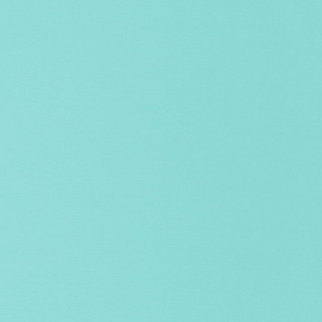 Schumacher Santa Margherita Aqua 70954 Riviera Collection Upholstery Fabric