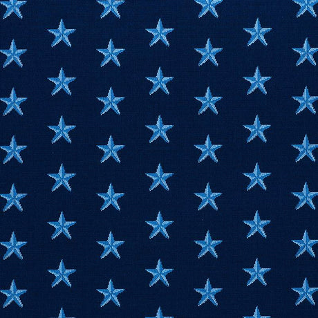 Schumacher Star Epingle Blue 77421 Cut and Patterned Velvets Collection Indoor Upholstery Fabric