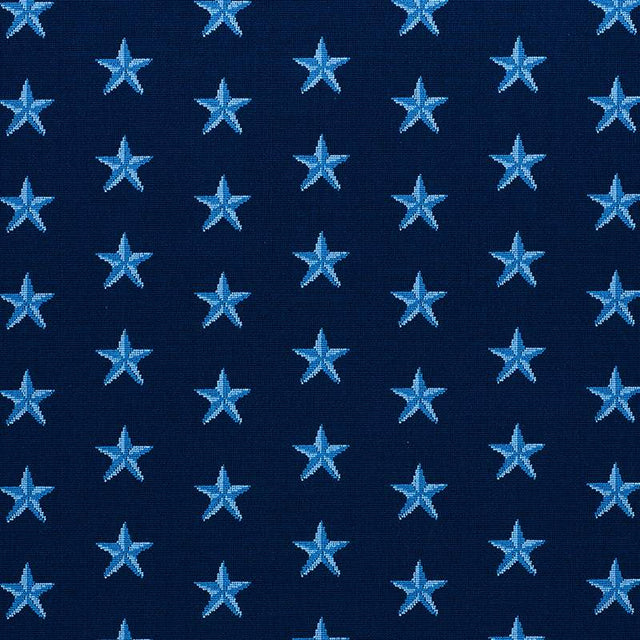 Schumacher Star Epingle Blue 77421 Cut and Patterned Velvets Collection Indoor Upholstery Fabric