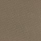 Serge Ferrari Stamoid Light Taupe F4128-20165 102-Inch Marine/Shade Fabric