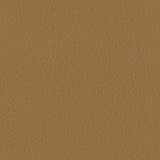 Serge Ferrari Stamskin Top Alezan F4340-20286 Upholstery Fabric