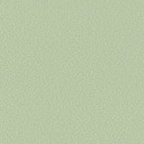 Serge Ferrari Stamskin Top Lichen F4340-20291 Upholstery Fabric