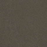 Serge Ferrari Stamskin Top Pebble F4340-07445 Upholstery Fabric