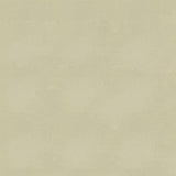 Ship to Shore Armada 117 Sand Dollar Automotive / Marine Upholstery Fabric
