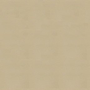 Ship to Shore Armada 118 Sand Dune Automotive / Marine Upholstery Fabric