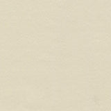 Ship to Shore Lunar Stinger Cream Automotive / Marine Upholstery Fabric
