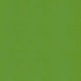 Ship to Shore Windsong 717 Lime Cooler Automotive / Marine Upholstery Fabric