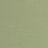 Silver State Monarch Kiwi Helios Collection Upholstery Fabric