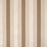 Silver State Sunbrella Chamberlain Raffia Savannah Collection Upholstery Fabric