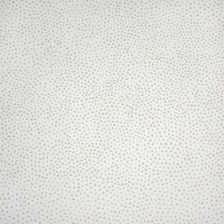 Silver State Sunbrella Jedi Salt Roman Holidays Collection Upholstery Fabric