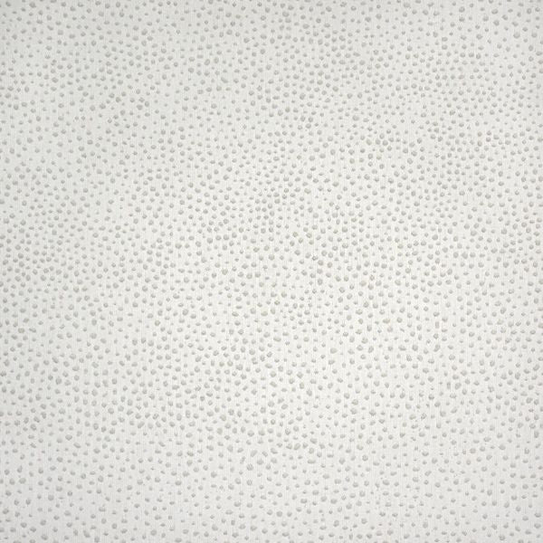 Silver State Sunbrella Jedi Salt Roman Holidays Collection Upholstery Fabric