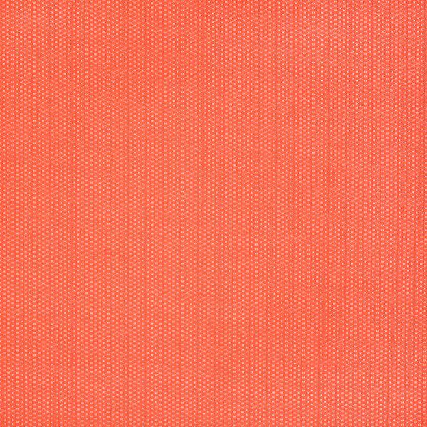 Silver State Sunbrella Plaza Coral Roman Holidays Collection Upholstery Fabric