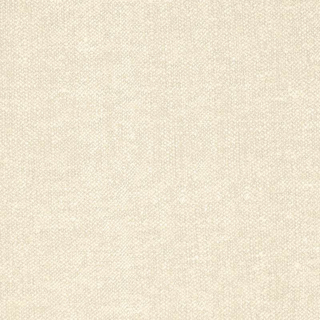 Silver State Sunbrella Primo Ivory Modern Eclectic Collection Upholstery Fabric