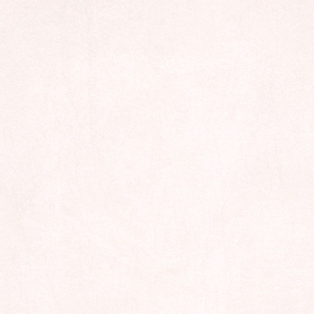 Softside Allegro 7059 Blush White Automotive / Marine Upholstery Fabric