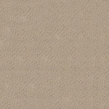 Softside Gemini 2561 Pearl Upholstery Fabric