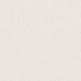 Softside Gemini 2564 Alabaster White Upholstery Fabric