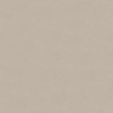 Softside Islander 9151 Oyster White Automotive / Marine Upholstery Fabric